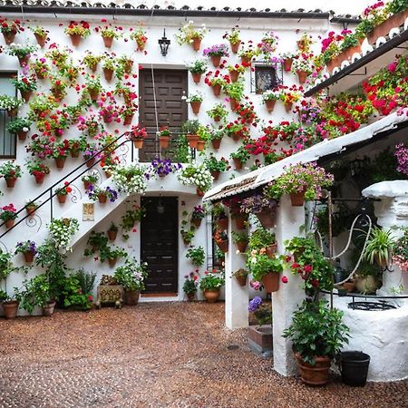 Ferienwohnung El Rincon De Orive Córdoba Exterior foto